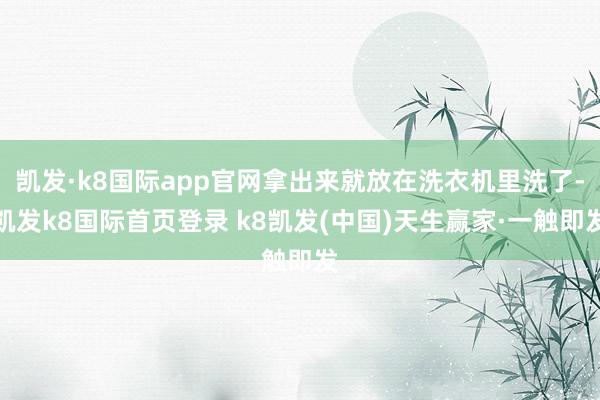 凯发·k8国际app官网拿出来就放在洗衣机里洗了-凯发k8国际首页登录 k8凯发(中国)天生赢家·一触即发