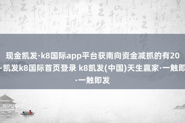 现金凯发·k8国际app平台获南向资金减抓的有20天-凯发k8国际首页登录 k8凯发(中国)天生赢家·一触即发